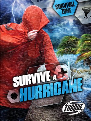 Survive a Hurricane - ebook